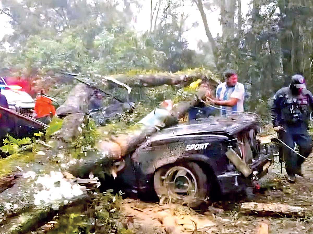 "La educación en peligro: Cinco estados toman medidas drásticas ante la tormenta que paraliza la escuela"