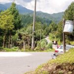 Víctimas del caos: tragedia en pleno centro urbano después de un enfrentamiento mortal que desata indignación por la supuesta connivencia con la explotación forestal ilícita