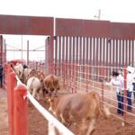 "La Crisis Fronteriza: ¿Qué Consecuencias Trae la Closura de una Frontera para Economía y Sociedad?"