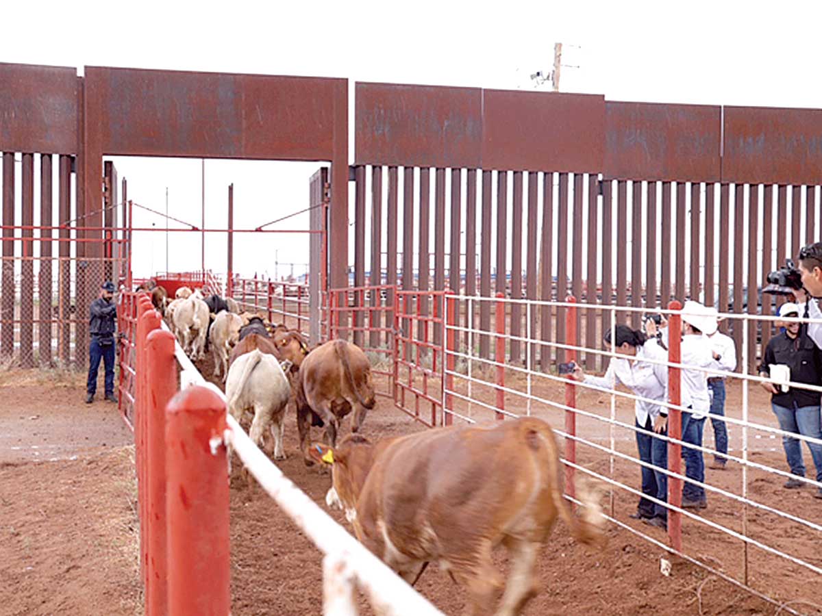 "La Crisis Fronteriza: ¿Qué Consecuencias Trae la Closura de una Frontera para Economía y Sociedad?"
