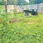 La Abandono en el Paraíso: El Trágico Caso del Santuario Animal del Parque Naturalia