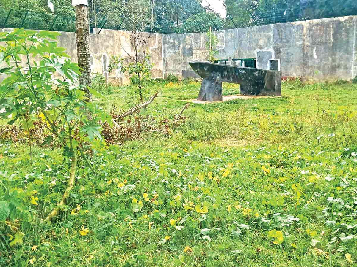 La Abandono en el Paraíso: El Trágico Caso del Santuario Animal del Parque Naturalia