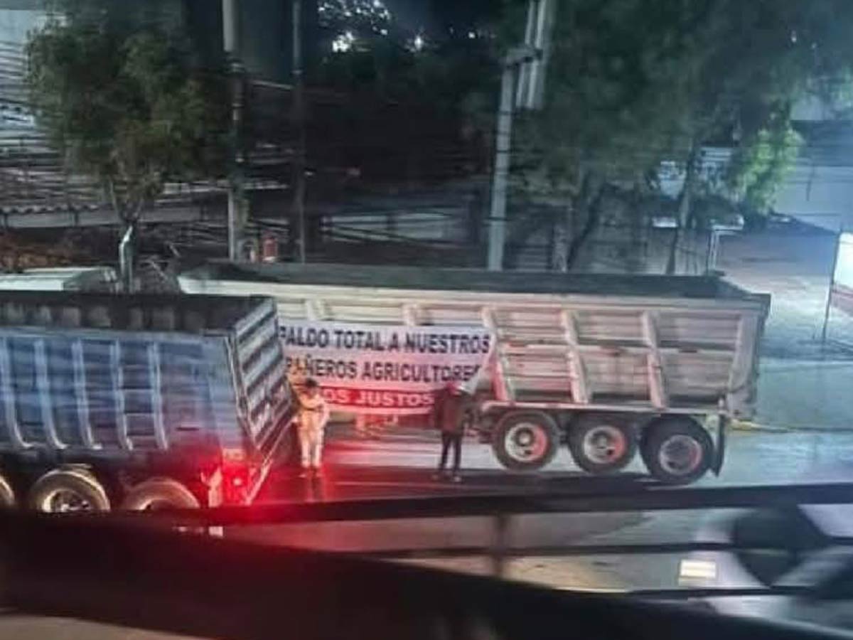 La lucha por la vía pública: Transportistas y campesinos unidos contra la ineficiencia y la desigualdad en las principales carreteras de México.