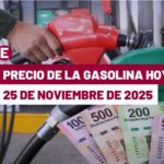 Precios de Gasolina en Alto: Un Nuevo récord para el final de año en México.