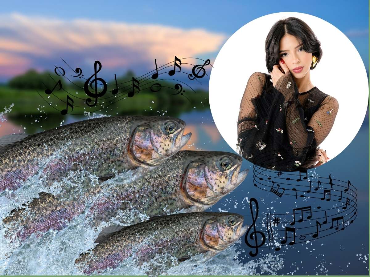 La magia de la tradición: descubre quiénes han interpretado con pasión el eterno "Cántame, cantar"